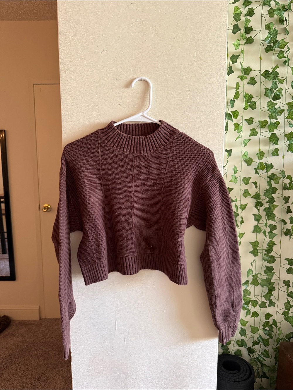 Cropped Crewneck Sweater in Brown